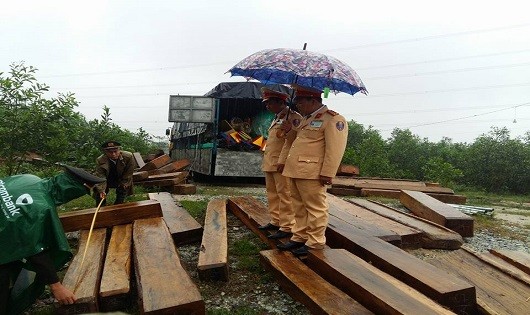 Gần chục khối gỗ Dỗi bị lực lượng chức năng phát hiện và bắt giữ