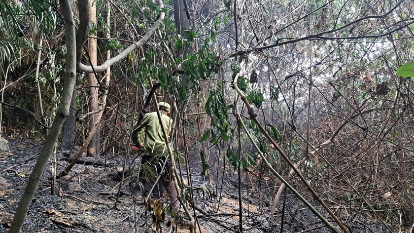 Lực lượng chức năng khẩn trương chữa cháy rừng.