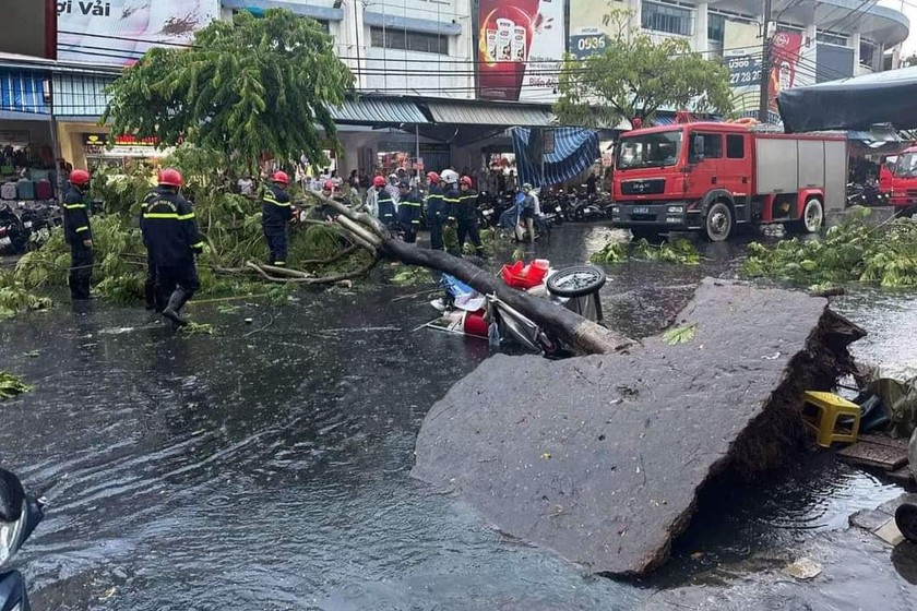 Cây xanh bật gốc, đè người phụ nữ bán nước khiến nạn nhân gãy tay trong mưa lớn.