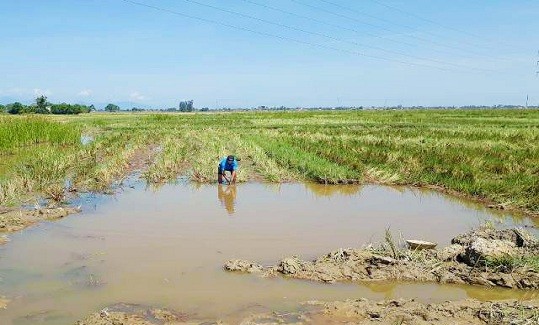 Hố nước nơi xảy ra vụ đuối nước thương tâm (ảnh: Thanh Hiếu)