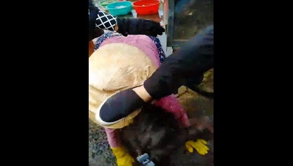 Nam nhân viên Ban quản lý chợ Đông Hà dùng chân đá vào người nữ tiểu thương (ảnh cắt từ clip)