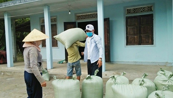 Các đoàn viên, thanh niên tất bật thu gom số lúa phơi trước sân đưa vào nhà giúp gia đình chị H.