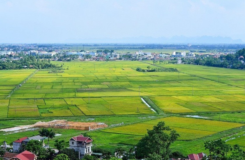 Bỏ khung giá đất để tránh thao túng đất đai.