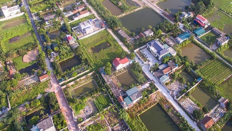 11,8ha đất nông nghiệp tại xứ Đồng Gạo, thôn Vũ Trường bị "hô biến" thành đất thổ cư.