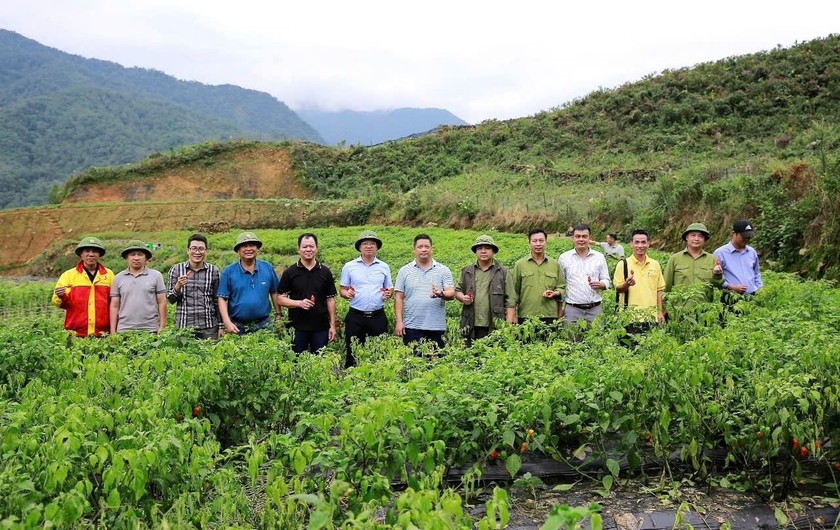 Các cơ quan chuyên môn của thị xã Sa Pa, xã Ngũ Chỉ Sơn và các đơn vị 