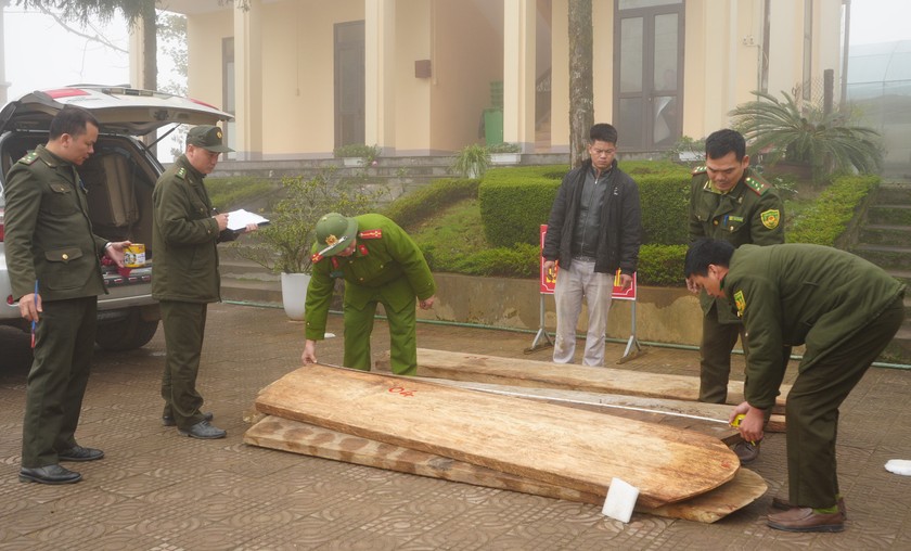 Bắt quả tang đối tượng vận chuyển gỗ trái phép