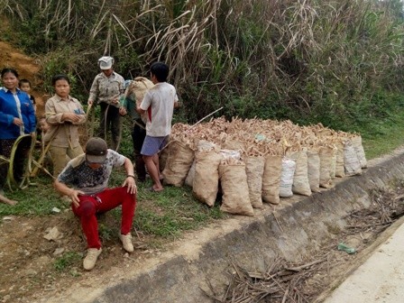 Thanh Hóa: Doanh nghiệp chịu thiệt hại từng ngày, chính quyền chậm xử lý