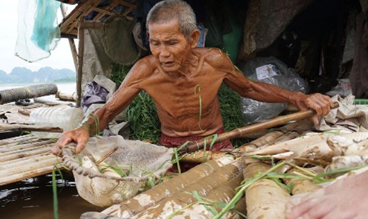 Cá chết bất ngờ, hàng loạt khiến người dân không kịp trở tay.