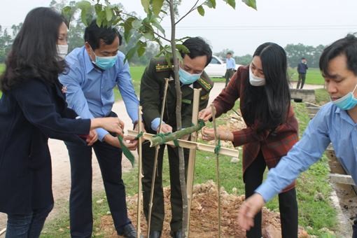 Hà Tĩnh phát động trồng hơn 950.000 cây xanh 