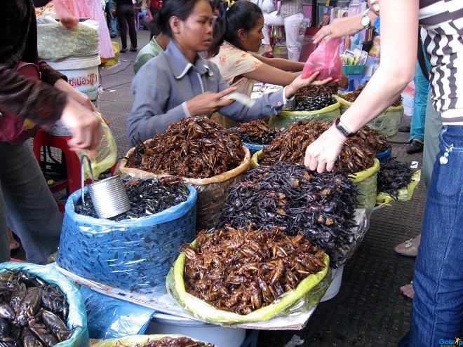 Hình minh họa