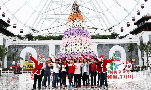 Đón giáng sinh với cây thông gấu bông lớn nhất Việt Nam tại Asia Park