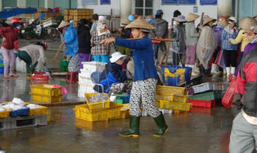 Những người phụ nữ gánh cá thuê ở cảng cá Thọ Quang