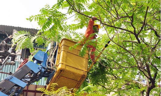 Kiểm tra kịp thời phát hiện những điểm có nguy cơ ảnh đến vận hành lưới điện