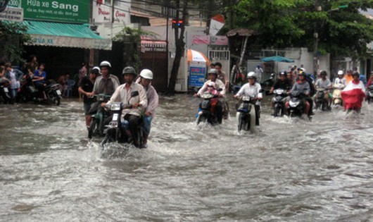 Hình minh họa