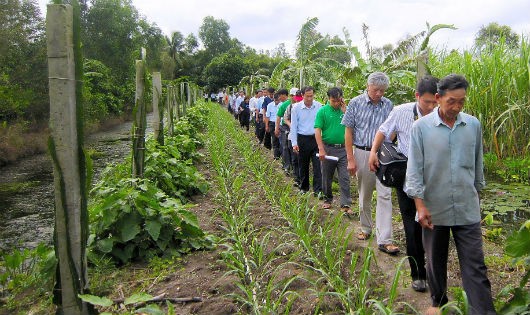 Ông Nguyễn Thành Long (thứ 5 từ phải sang) thường xuyên tổ chức những chuyến đi cơ sở, đồng hành cùng bà con nông dân trồng mía tại Hậu Giang.