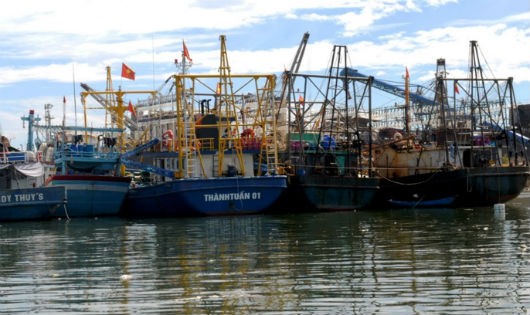 Hàng loạt tàu vỏ thép của ngư dân Bình Định hư hỏng phải nằm bờ.