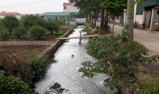 Hà Nội:Người dân Vân Tảo khốn khổ vì mương ô nhiễm