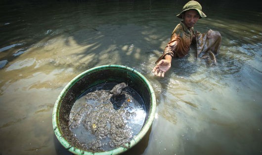 Chân dung một thợ đãi trùn chỉ