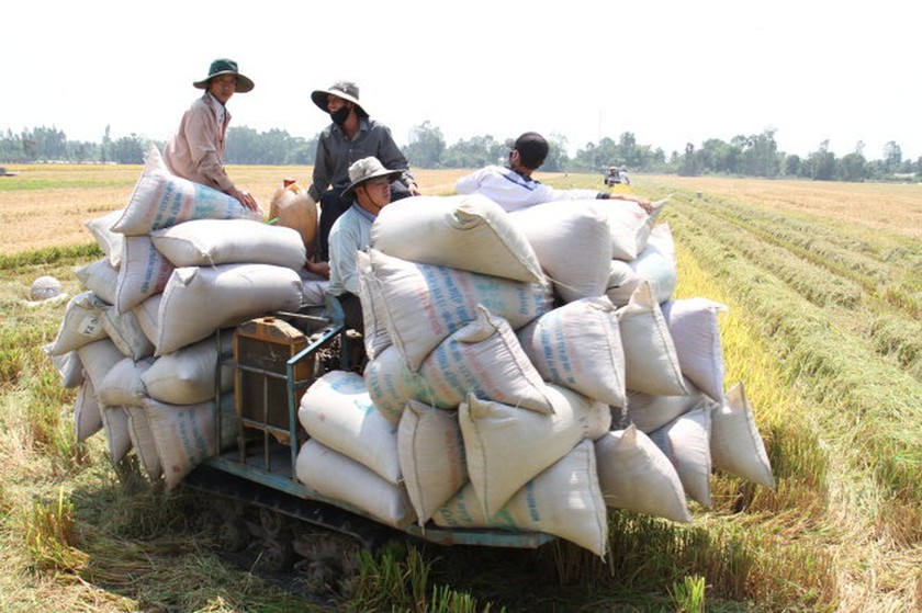 Xuất khẩu khởi sắc, ngành nông nghiệp quyết định nâng nhiều chỉ tiêu tăng trưởng trong năm nay