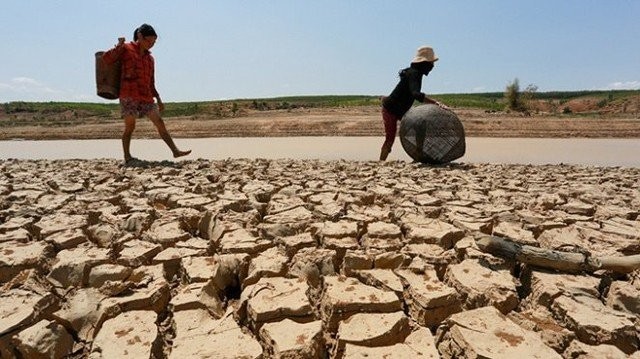 Hạn hán là một trong những nguyên nhân hàng đầu gây thiệt hại cho nông nghiệp 