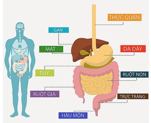 Ung thư đường tiêu hóa – một trong những căn bệnh nguy hiểm