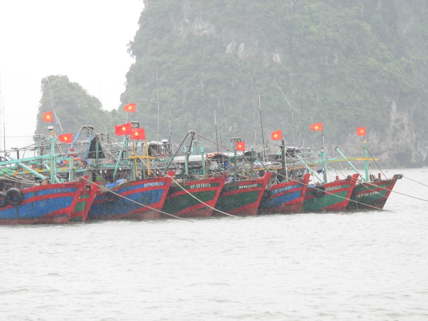 Các phương tiện về nơi tránh trú an toàn.