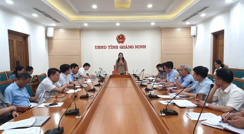 Quang cảnh Hội nghị triển khai công tác y tế các tháng cuối năm 2024 tỉnh Quảng Ninh.