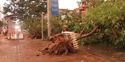 Hà Nội hối hả khắc phục hậu quả sau cơn mưa giông