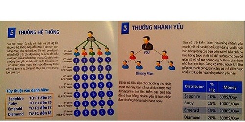 Cần Biết: Những hành vi bị cấm trong trong bán hàng đa cấp