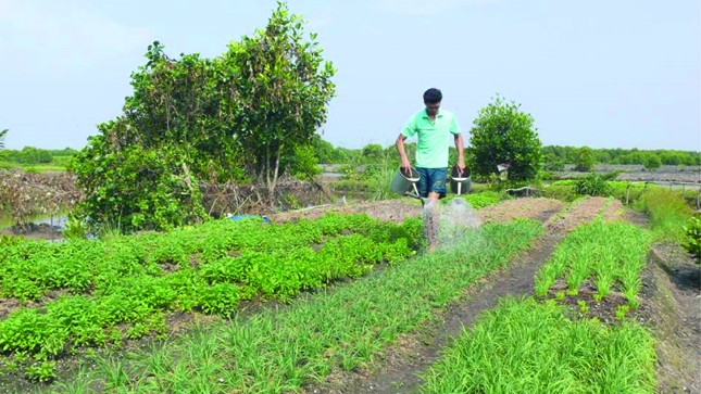 Tất bật đón Tết  trên đất Mũi