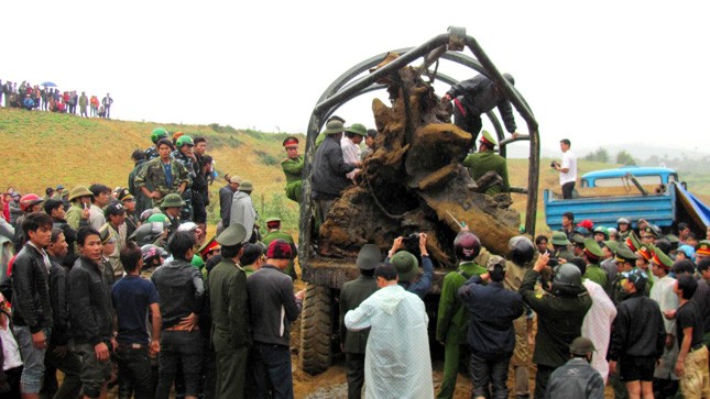 Trục vớt thành công gốc cây tiền tỷ dưới ngầm đá