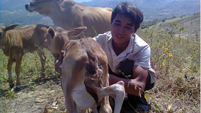 Bê con “quái thai”.