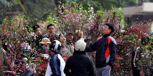 Tết Bính Thân 2016, nghỉ 9 ngày, không phải làm bù