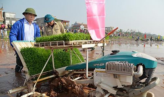 Bí thư Thành ủy Hà Nội Hoàng Trung Hải xuống đồng cấy lúa.