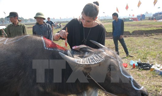 Du khách nước ngoài tham gia thi vẽ, trang trí trên mình trâu. (Ảnh: Nguyễn Thị Chinh/TTXVN)