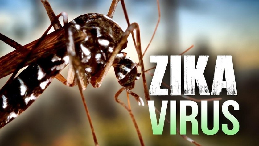 Bộ Y tế xác nhận Việt Nam có 2 người nhiễm Zika