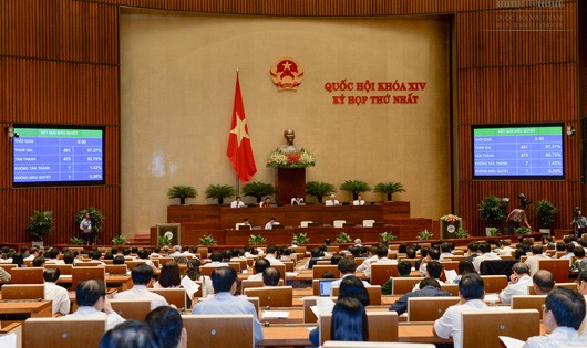 'Chúng ta cần cá, cần thép, nhưng có cần Formosa đến 70 năm không?'