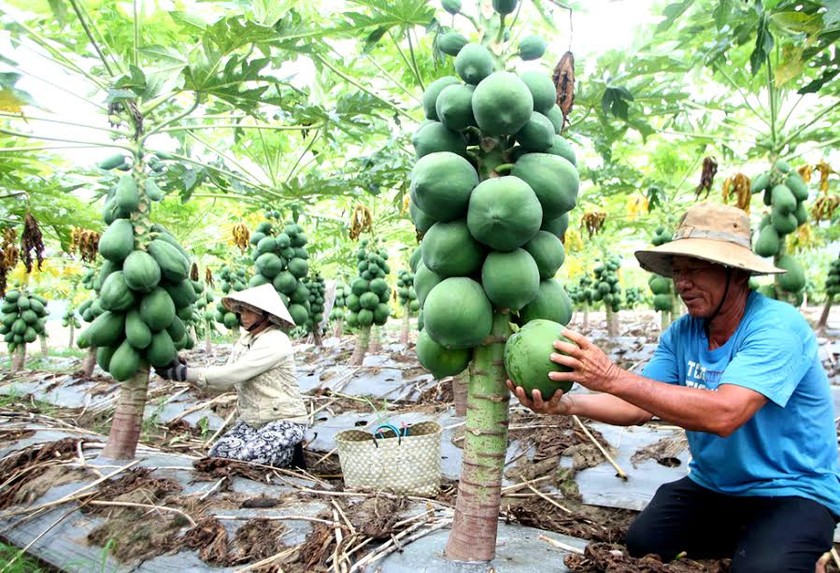 l NHCSXH thực hiện cho vay bổ sung vốn đối với khách hàng vay vốn bị rủi ro do nguyên nhân khách quan giúp người vay có vốn để khôi phục sản xuất, kinh doanh, ổn định cuộc sống.
