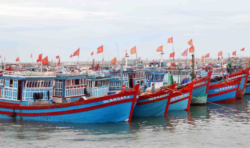 Tàu, thuyền đánh bắt thủy, hải sản thuộc đối tượng được miễn lệ phí trước bạ

