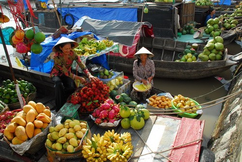 Hình minh họa