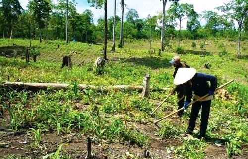 Miễn, giảm tiền sử dụng đất đối với người có công