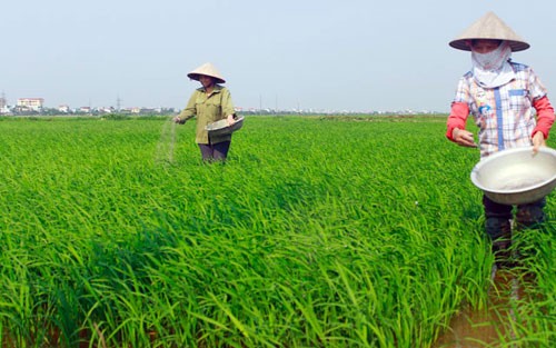 Vi phạm hành chính trong lĩnh vực phân bón sẽ bị phạt đến 200 triệu đồng