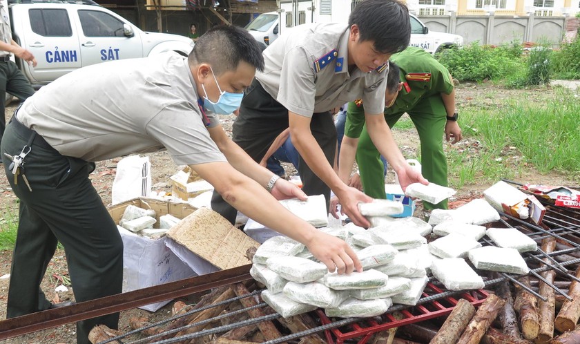 Tiêu hủy ma túy