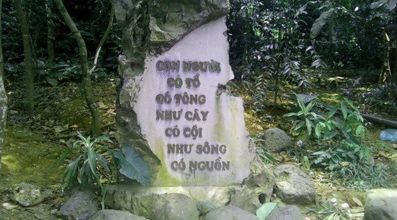 Ảnh minh họa