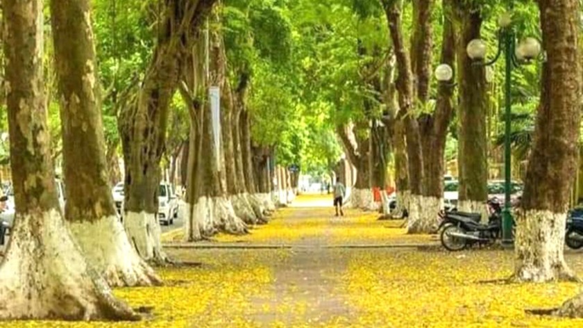 Vỉa hè Hà Nội mang những màu sắc quyến rũ lạ lùng, nơi để lại biết bao nỗi niềm thương nhớ, là miền ký ức của mỗi người.