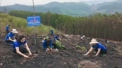 Thanh niên hưởng ứng trồng 1 tỷ cây xanh.