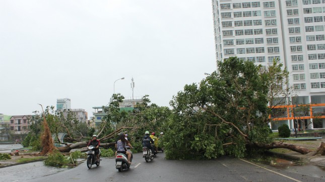 Bão Nari “quét” đi hơn 1.500 tỷ đồng