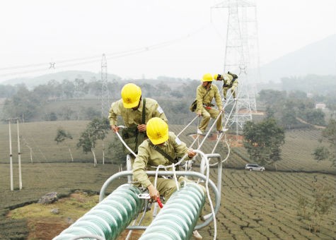 Ảnh chỉ mang tính chất minh họa. Nguồn Internet