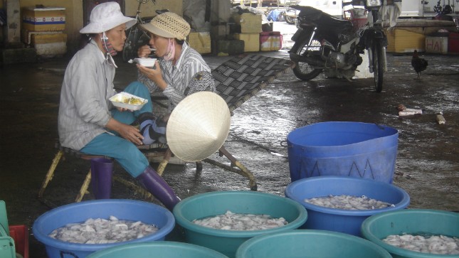 Những “bóng hồng”  mưu sinh bên cảng cá