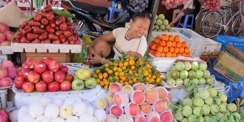 Dư luận thắc mắc hoa quả để 9 tháng không hỏng thì Bộ nào chịu trách nhiệm?